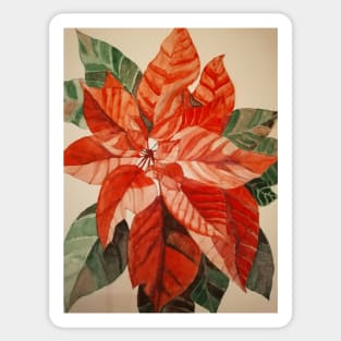 Poinsettia flower watercolour painting Sticker